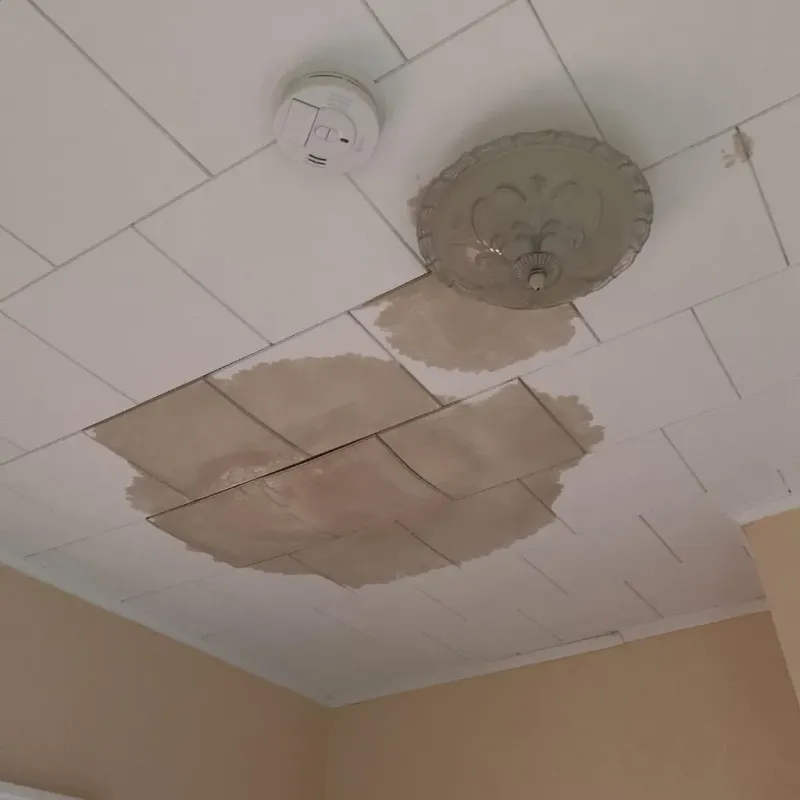 Ceiling Water Damage Repair in Dresden, OH