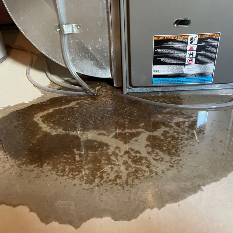 Pipe Burst and Leak Restoration in Dresden, OH