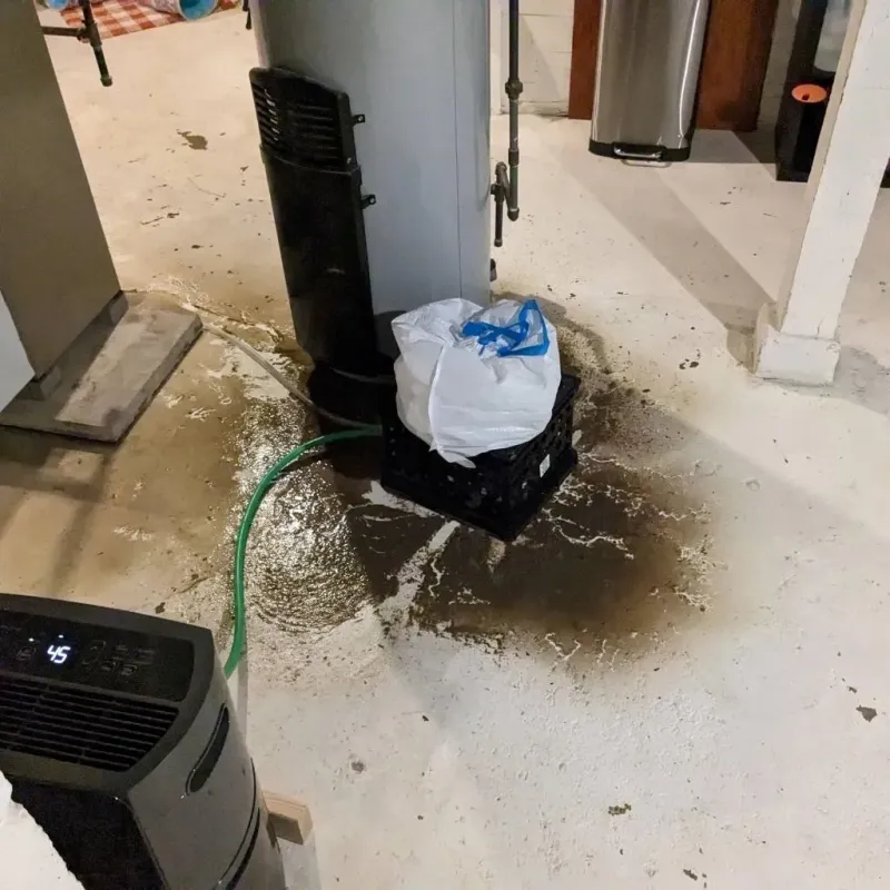 Sewage Backup Cleanup Service in Dresden, OH